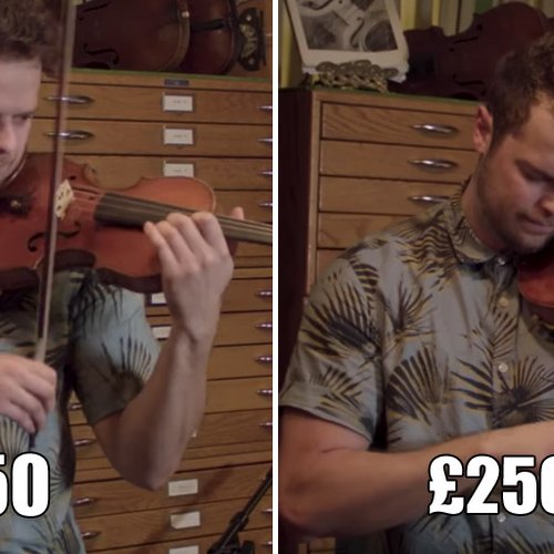 Violin comparison