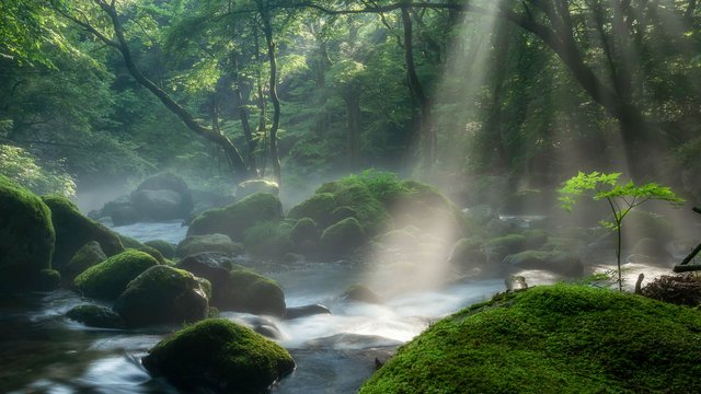 Classical Music for Relaxation